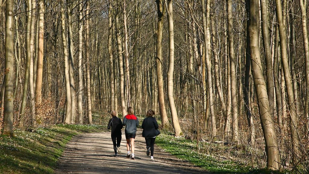 Myös savuttomuus, kohtuus alkoholin käytössä sekä lihavuuden välttäminen ylläpitävät valtimoiden toimintakuntoa.
