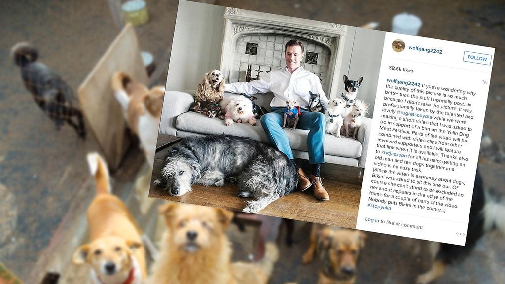 Tämä mies haluaa tarjota hyvän kodin mahdollisimman monelle eläimelle.