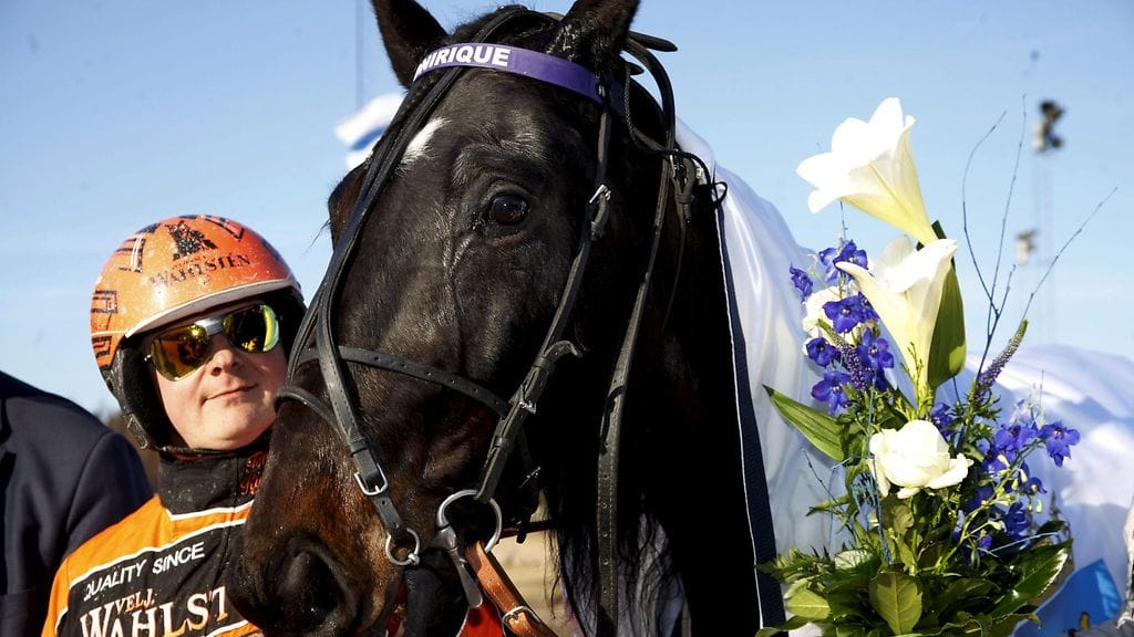 Tommi Kylliäinen ohjasti Oniriquen voittoon Vermossa.