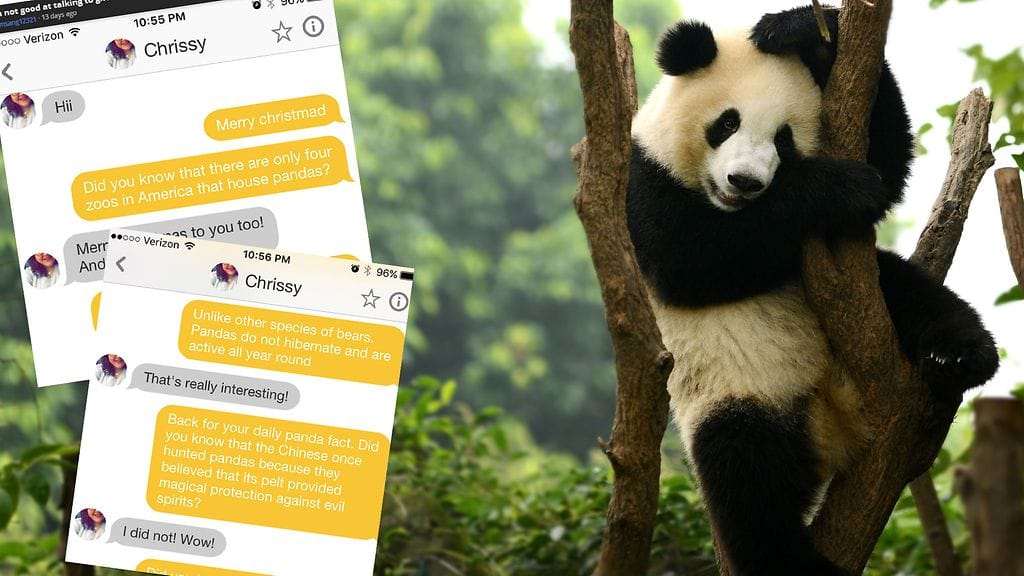 "Tiesitkö, että pandalla on 42 hammasta?" Mies turvautui hyvin erikoiseen taktiikkaan selvitäkseen kirjoitusvirheen aiheuttamasta nolouden tunteesta.