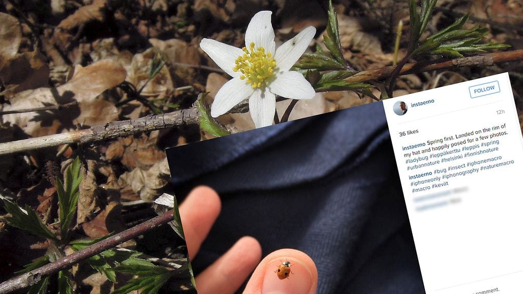 Kevät innosti ihmiset kuvaamaan.