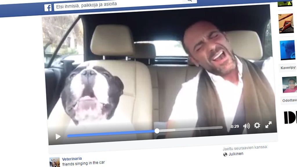 Koira esittelee laulutaitojaan.