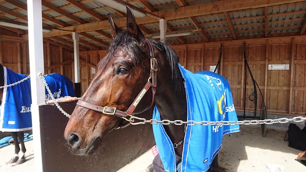 William Birdland olisi ollut lähtönsä ennakkosuosikkeja.