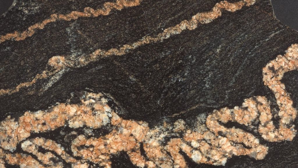 Suonigneissiä Helsinki Ruoholahti kuva Jari Väätäinen GTK