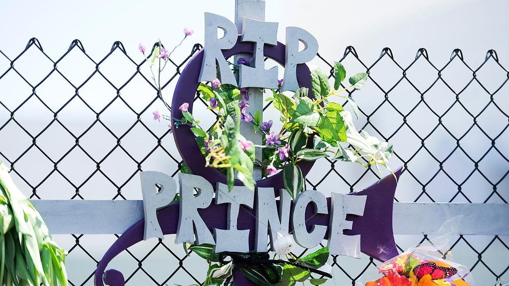 Princen muistokukkia 22.4.2016 4