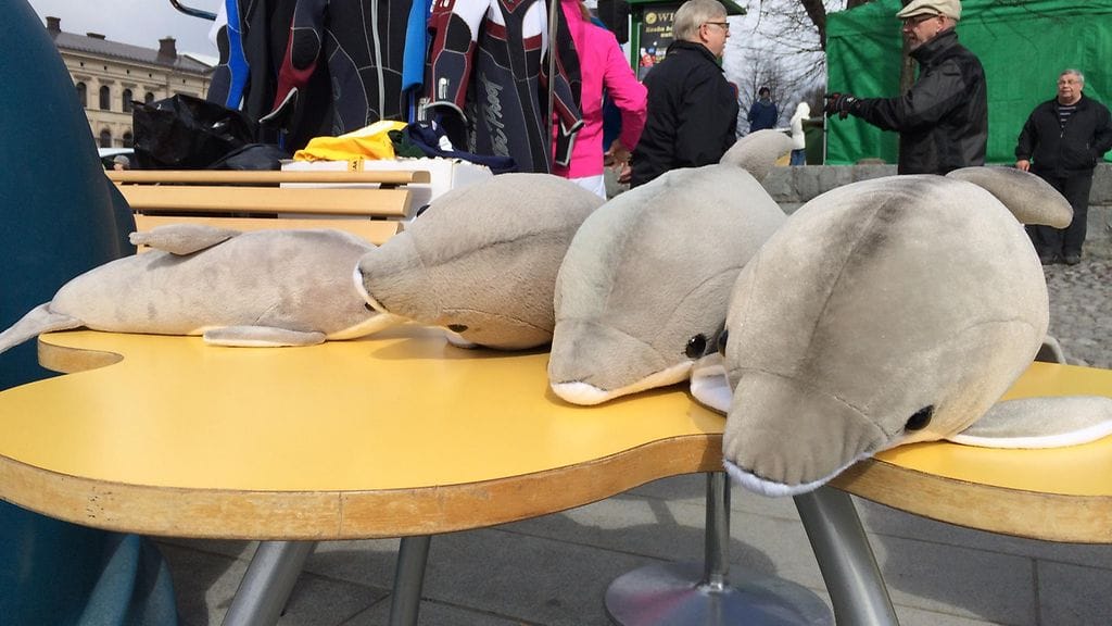 Delfinaarion tavaroiden huutokauppa, pehmodelfiinejä