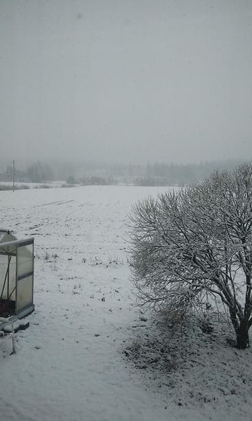 johanna liukko lounais-suomi takatalvi