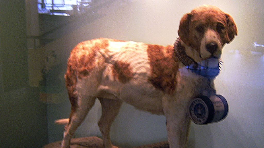 Barry berniläisessä museossa