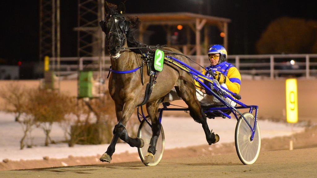 Finest Chocolate Vermossa edellisen valmentajansa Terho Rautiaisen kanssa. Hevonen siirtyi Terhi vanhalan talliin reilu vuosi sitten.