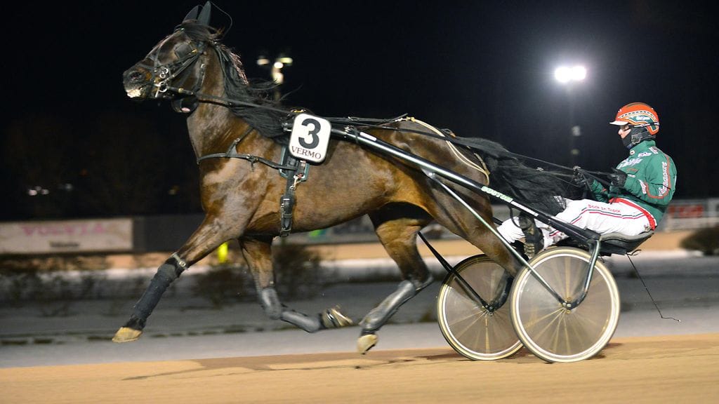 Hannu Torvisen vakioajokki Downander oli tuttu näky Vermon voittajakehässä, ja Men At Workin 80-luvun samankuuloinen hittibiisi soi useina keskiviikkoina.