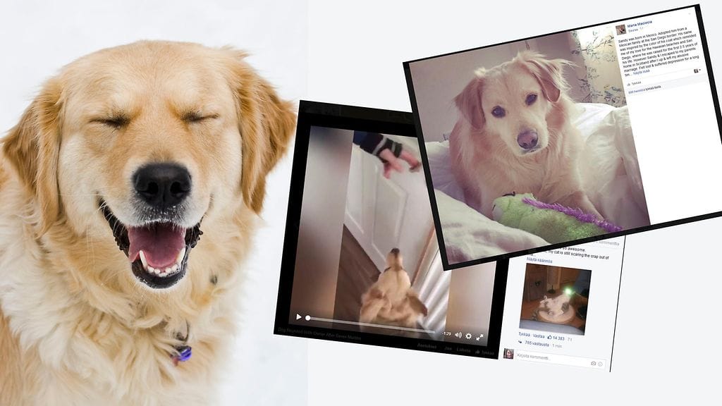 Kuvituskuva ja kuvakaappaus Facebookista