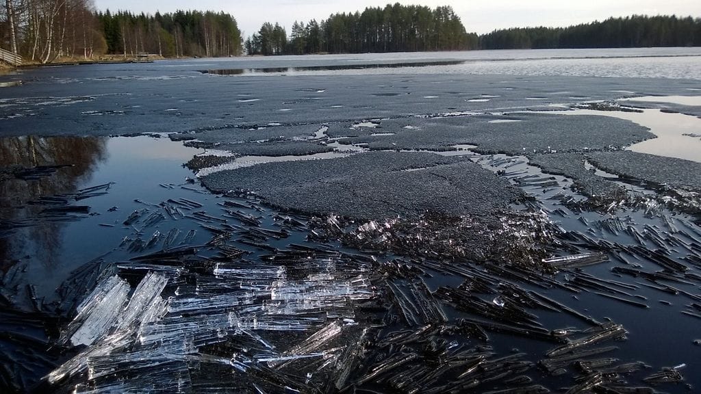 Kuvituskuva. Lukijan kuva.