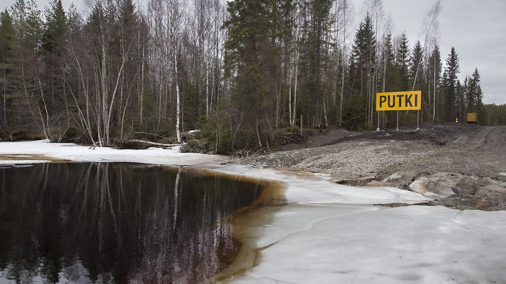 Nuasjärven ranta johon Terrafame Groupin Sotkamon Talvivaaran kaivoksen purkuputki on johdettu 27. huhtikuuta 2016.