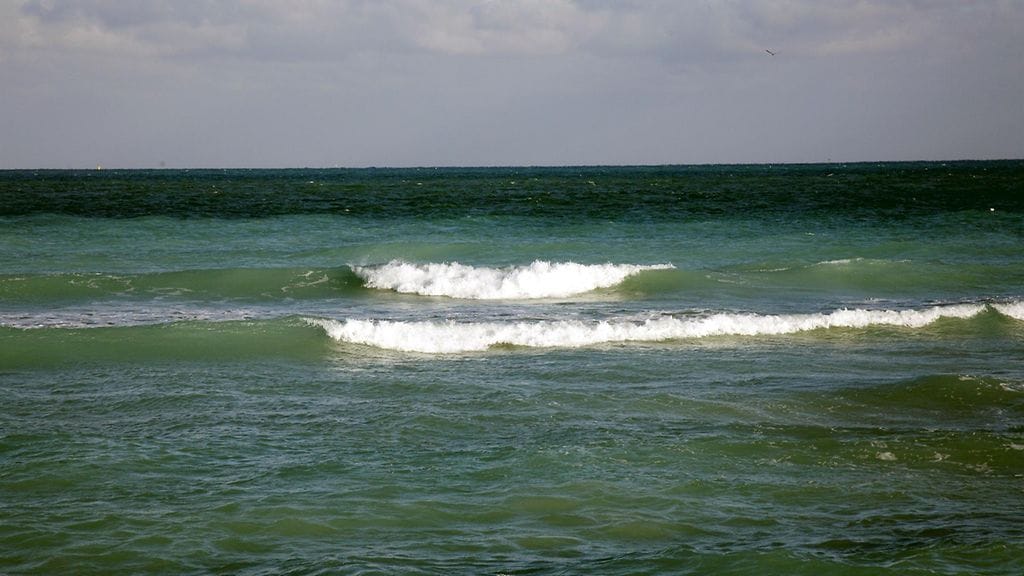 Kuvituskuvaa Floridan rannikolta.