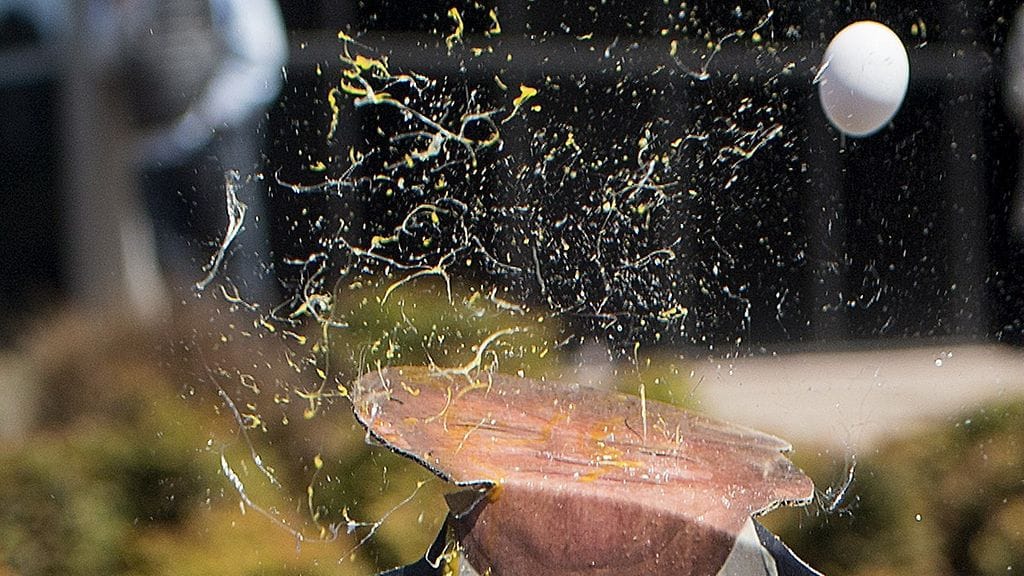 Donald Trumpin pahvihahmo sai kyytiä munasta.