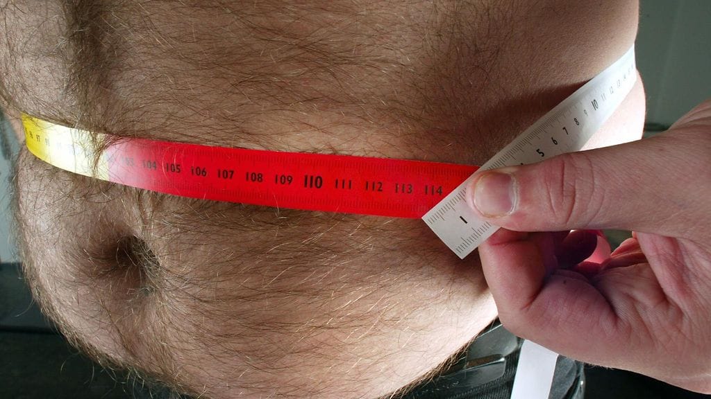 vyötärölihava (2)