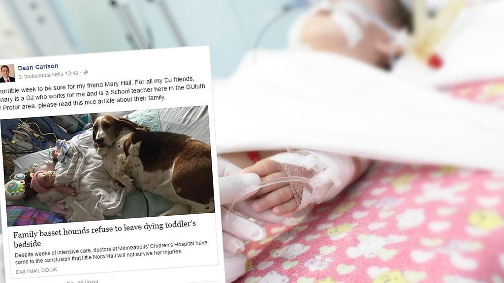 Perheen koiran teko viestii uskollisuudesta ja lojaaliuudesta.