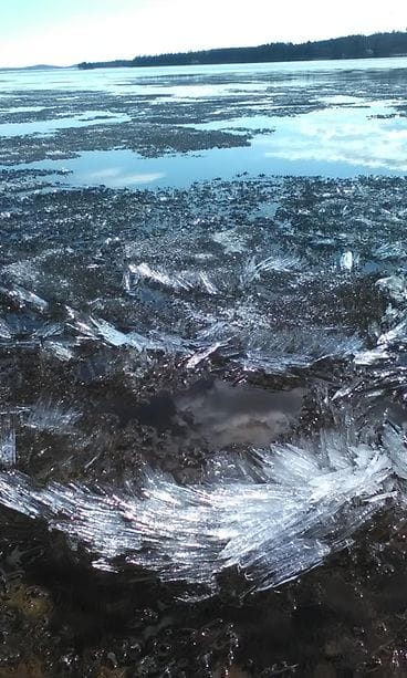 Maisemaa Pieliseltä Nurmeksesta. Kuva otettu 4.5.2016. Kuvaaja Marie Therese Gerber.