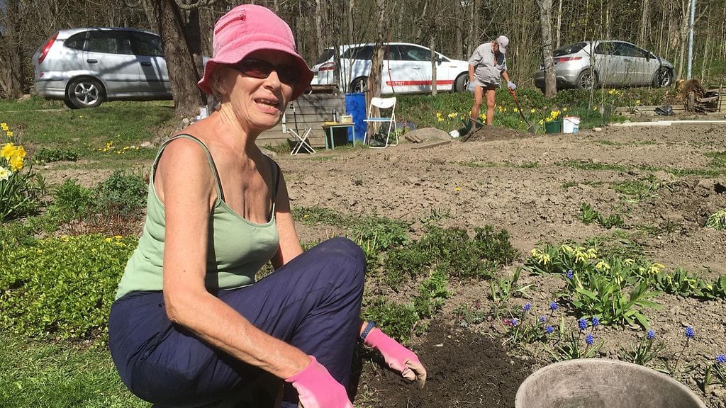 Kevät, viljelypalsta, palstaviljely, Tuula Luoto