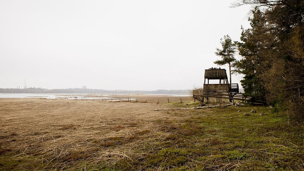 Tornien taisto on BirdLife Suomen järjestämä leikkimielinen kilpailu, jossa pyritään havaitsemaan lintutornista mahdollisimman monta lajia kahdeksassa tunnissa.
