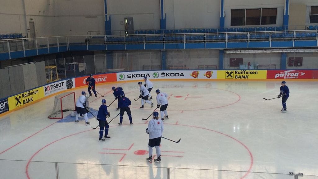 Leijonat harjoituksissa lauantaina.