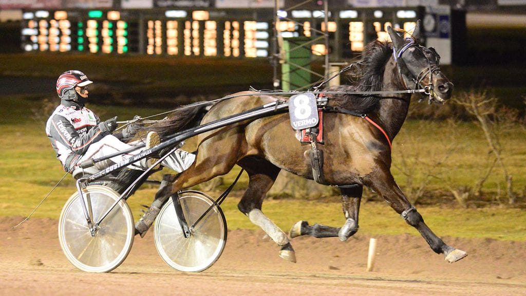 Mika Forss on ohjastanut valtaosan Mystic Powerin tämän vuoden starteista.