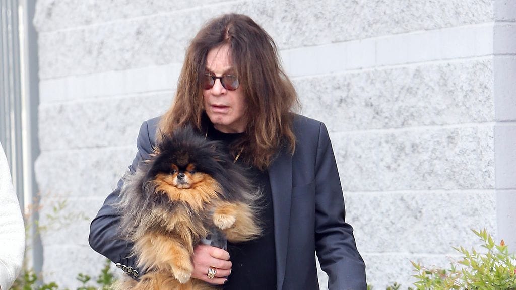 Ozzy Osbourne ulkoiluttamassa koiraa 9. toukokuuta 2016.