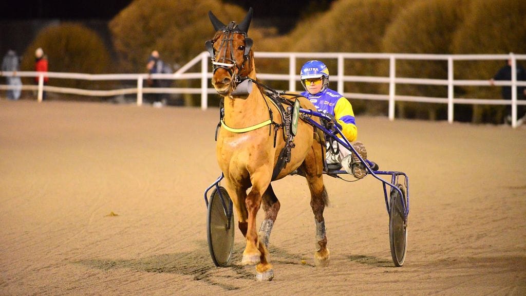 Ekosan on koko Toto65-kierroksen eniten pelattu hevonen. Viimeksi maan pääradalta tuli kunniakas kakkossija pari kuukautta sitten.