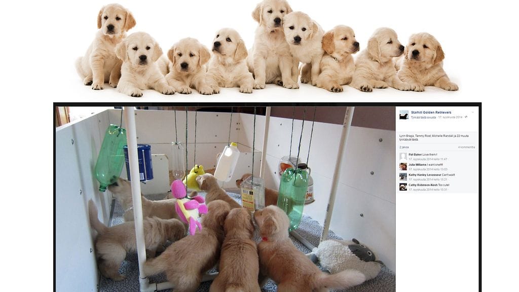 Kasvattajan keksintö on helppo rakentaa, mutta tuottaa iloa pitkäksi aikaa.