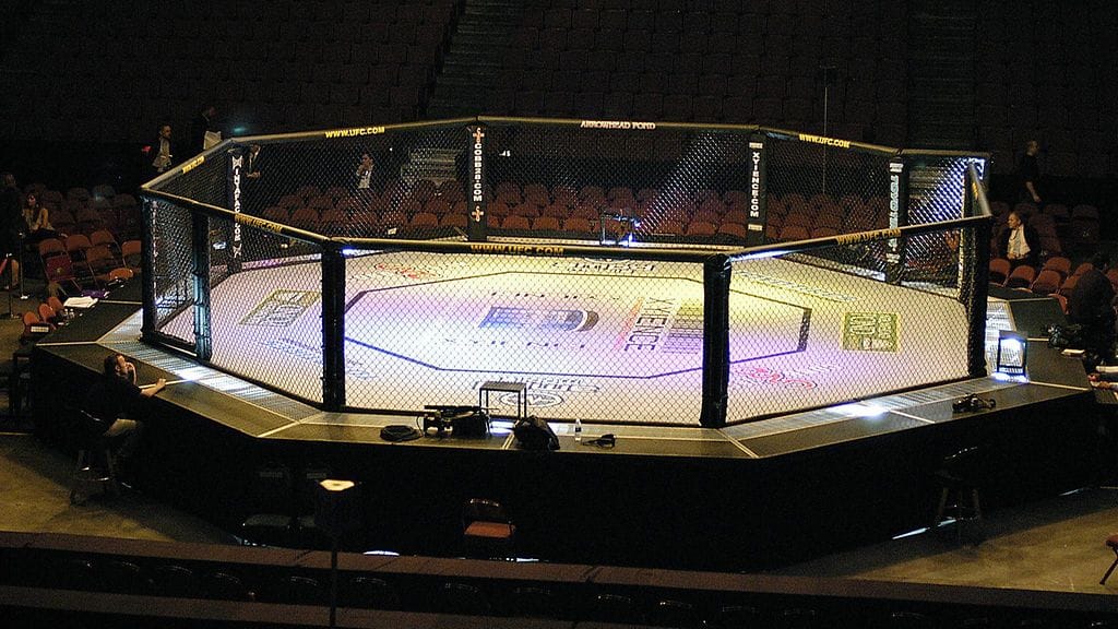 Vapaaottelu, kuvitus