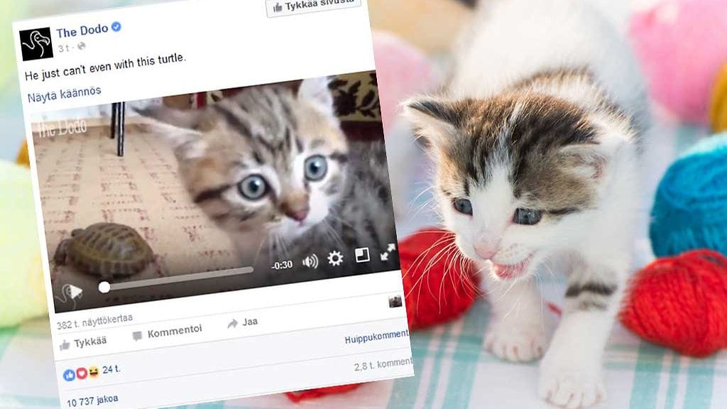 Kuvakaappaus: Facebook