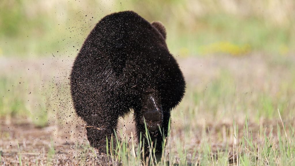 KUVA 3 160515 IMG_5896