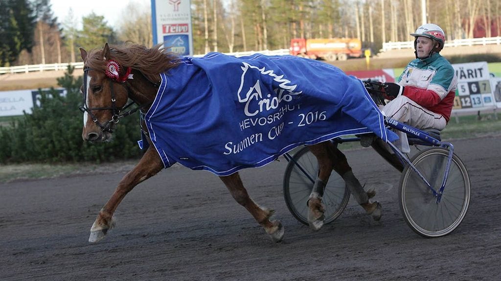 Ilon Ari sai pari viikkoa sitten Teivon raveissa ylleen Suomen Cupin karsintavoittajan loimen.