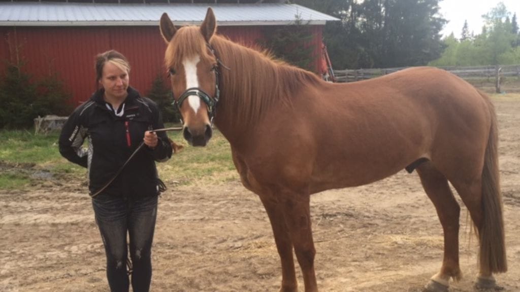 Ilon Ari ja Heidi Ahonen