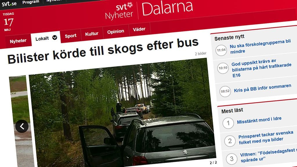 Kuvankaappaus SVT:n nettisivustolta.