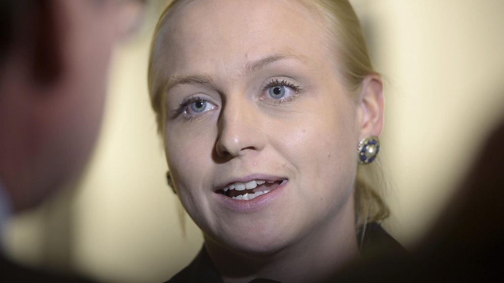 Lepomäki sanoi puheenjohtajatentissä epäilevänsä, että kokoomus on hallituksen kaavailemassa kehitysyhtiössä mennyt "kepun lankaan".