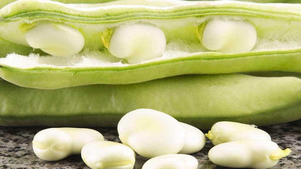 Palkokasvien viljely voisi korvata tuontisoijaa.