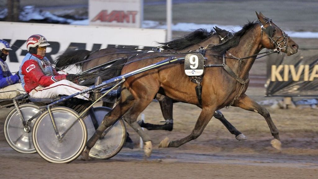 Harri Koivusen tallin ylpeys Shadow of Brisbane päätti keulavoittajien muodostaman Toto4-rivin.