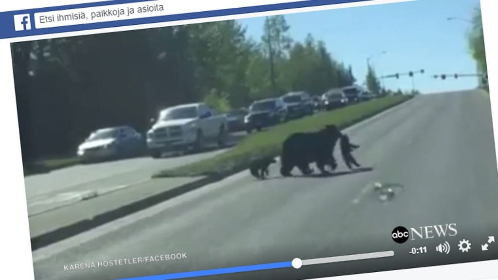 Kuvankaappaus ABC Newsin Facebook-sivulta.