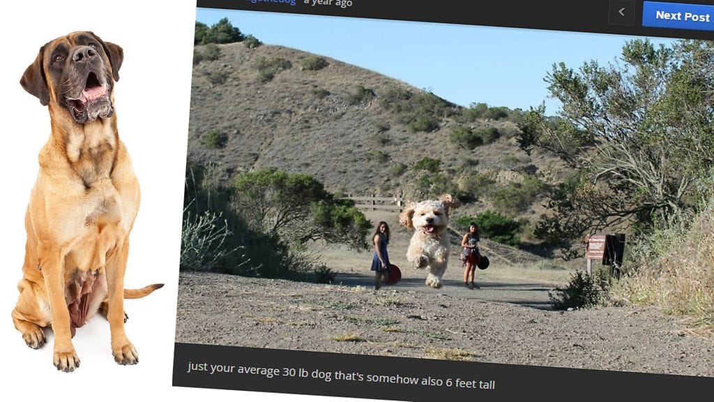 Kun tätä kuvaa katsoo, ei voi olla ihmettelemättä, mitä kuvassa oikein tapahtuu.