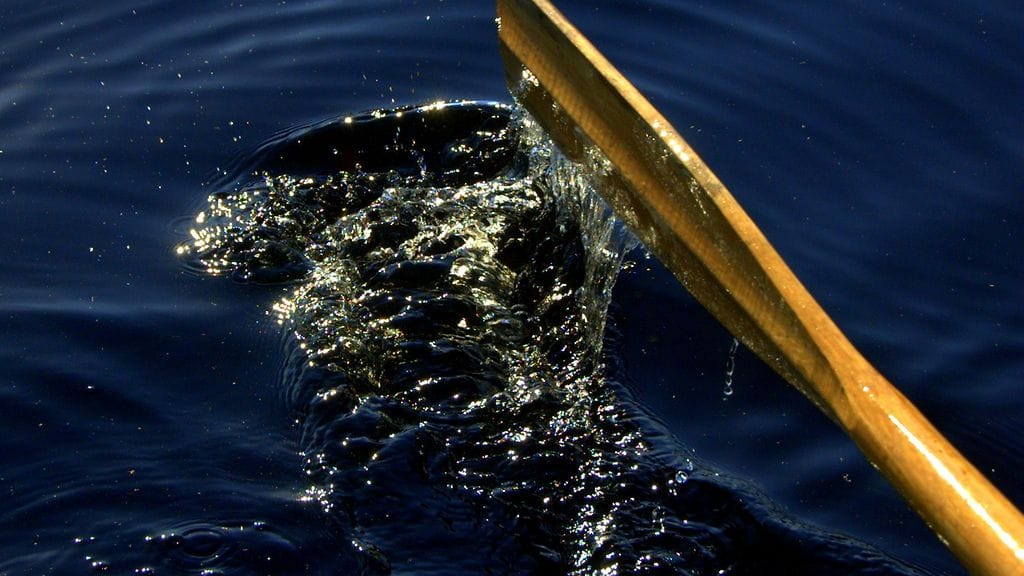 Asianajaja huomauttaa, että paikallispoliisi on tutkinut tapauksessa käsitellyt jutut on jo kerran.