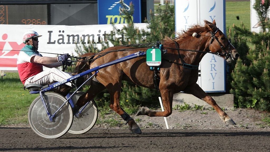 Heidi Ahosen valmentama Ilon Ari tienannut tänä vuonna jo lähes 20 000 euroa.