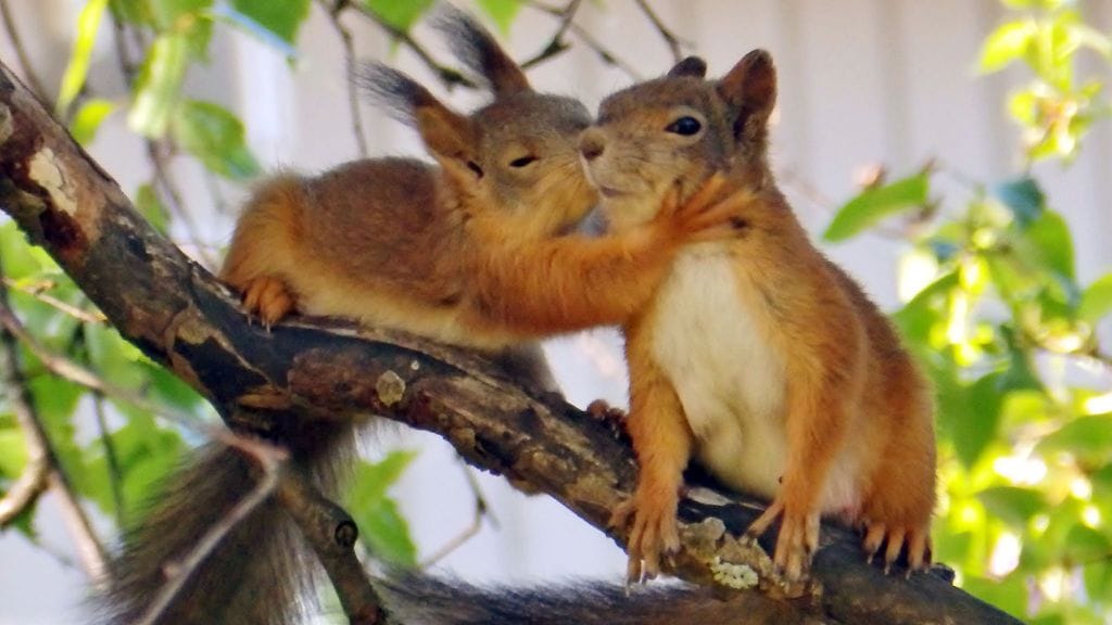 Touko antaa pusun äidilleen Eikalle. Kuva: Sirkku Smolander