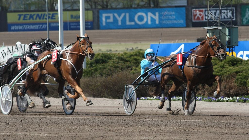 Juhliiko Vitter tai Jokivarren Kunkku sunnuntaina Elitkampenin voittoa?