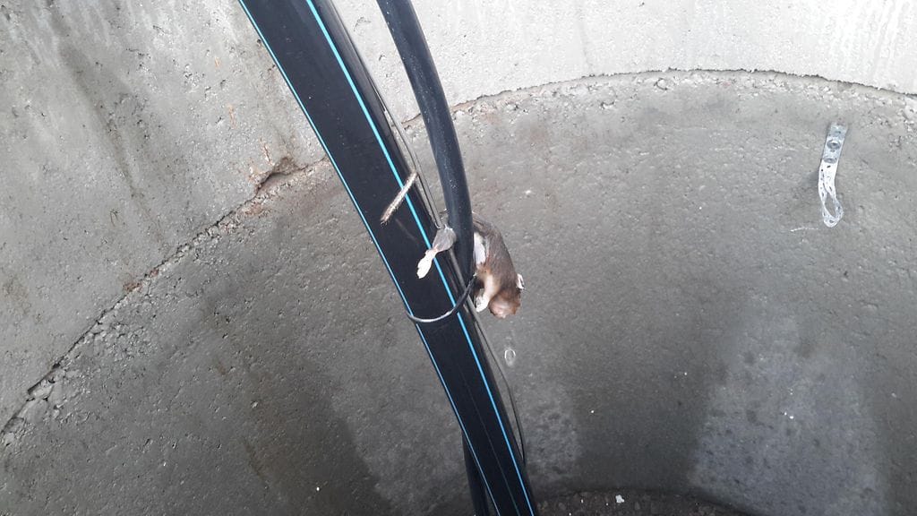 porakaivo lika raato 1