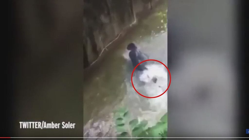 Kuvakaappaus videosta