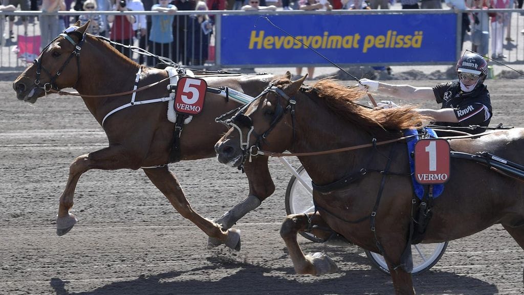 Vitter vastaan Jokivarren Kunkku on viikonlopun tulikuuma taistelupari.