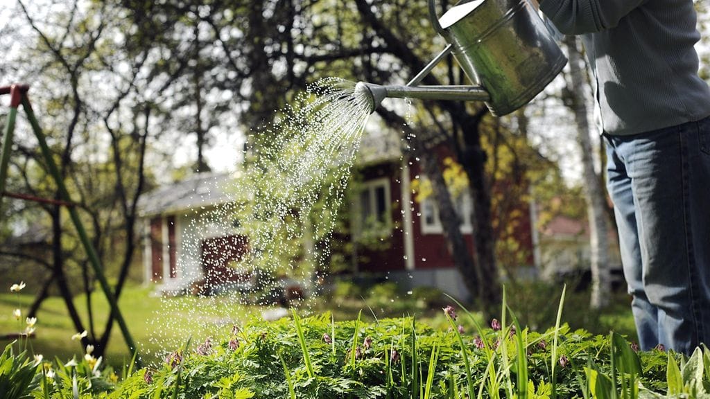 Veden kantaminen ja kukkien kastelu polttaa kaloreita huomaamatta.