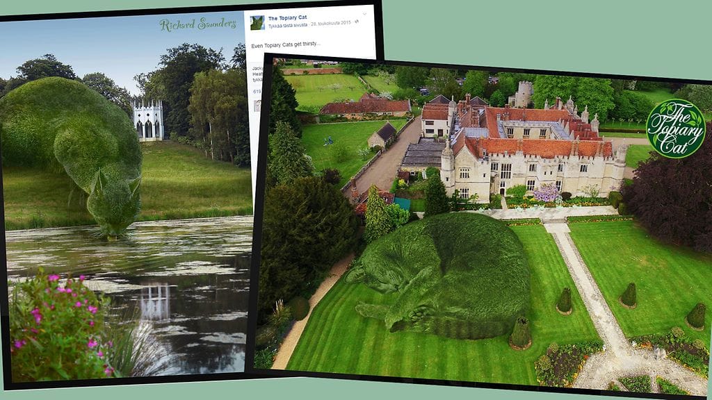 Näitä uskomattomia kuvia on pakko katsoa toisenkin kerran!