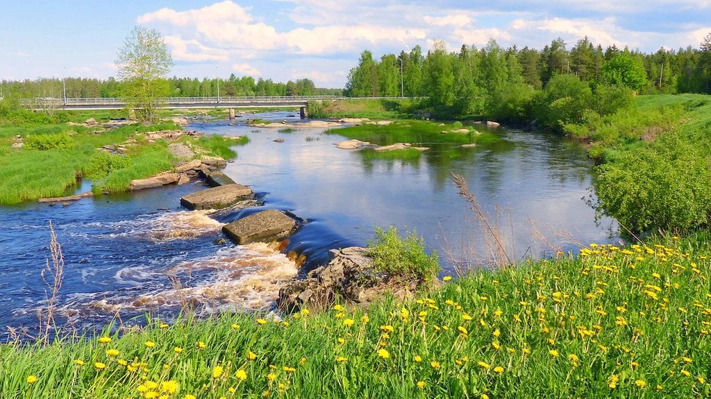 Toukokuun lämpöä Pohjanmaalla. Kuva: Matti Hietanen.